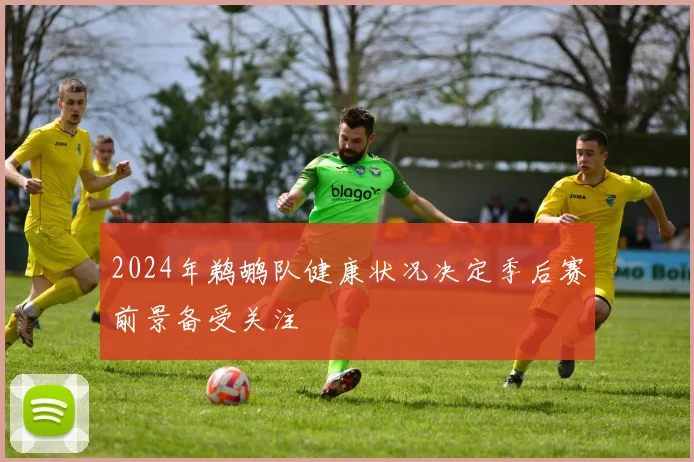 2024年鹈鹕队健康状况决定季后赛前景备受关注