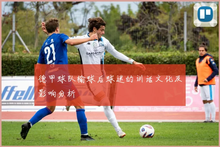 德甲球队输球后球迷的训话文化及影响分析