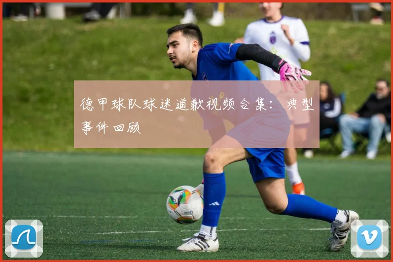 德甲球队球迷道歉视频合集：典型事件回顾